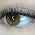 Ranking of starter kits for at-home lash extensions